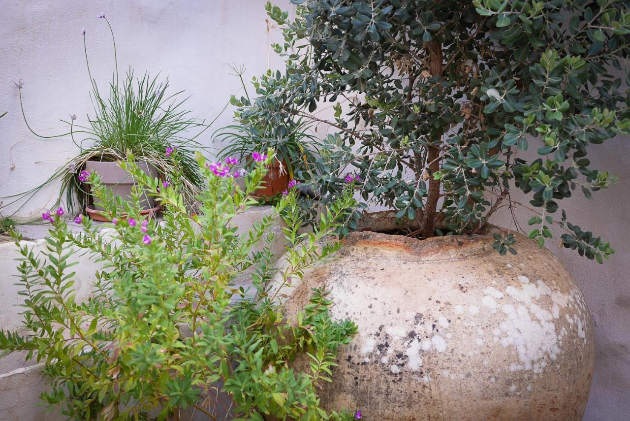 La Pileta - Grupo Califa Appartement Vejer de la Frontera Buitenkant foto